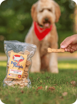 Dog outside with bag of treats.